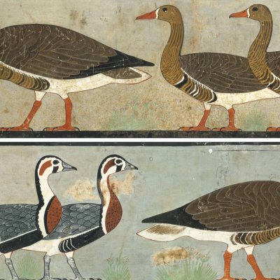 Image above: ‘Meidum Geese’, Chapel of Itet, mastaba of Nefermaat and Itet (Dynasty 4), Meidum, Egypt. Image: C.K. Wilkinson.